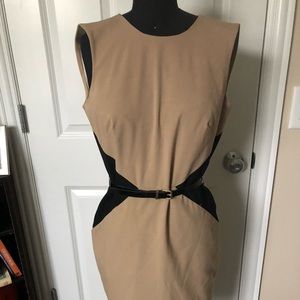 CALVIN KLEIN Professional Dress Color Block